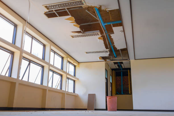 Best Sewage cleanup and water damage restoration  in Colony Rk, PA