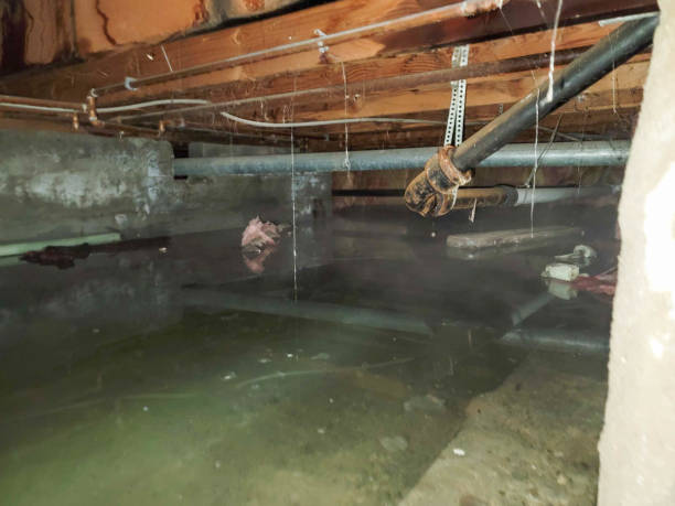 Best 24-hour water damage restoration  in Colony Rk, PA