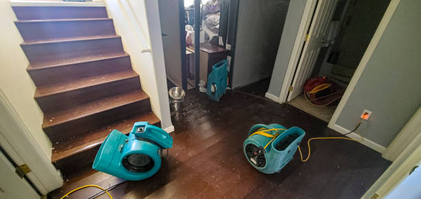 Best Sewage cleanup and water damage restoration  in Colony Rk, PA