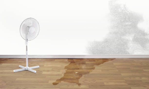 Best 24/7 water damage repair  in Colony Rk, PA