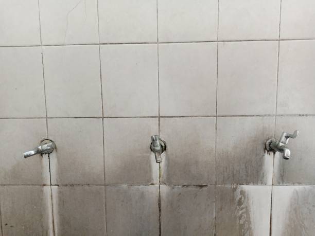 Best Carpet water damage restoration  in Colony Rk, PA