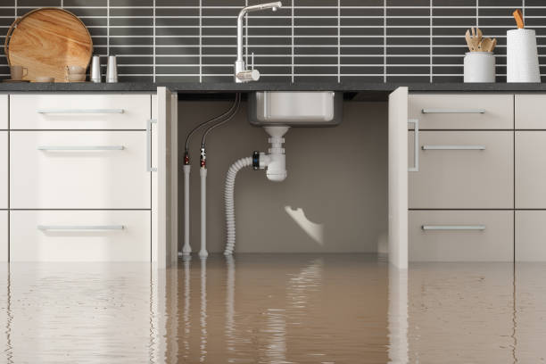 Best Professional water damage repair  in Colony Rk, PA