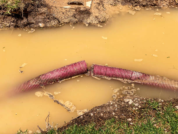 Best Residential water damage restoration  in Colony Rk, PA