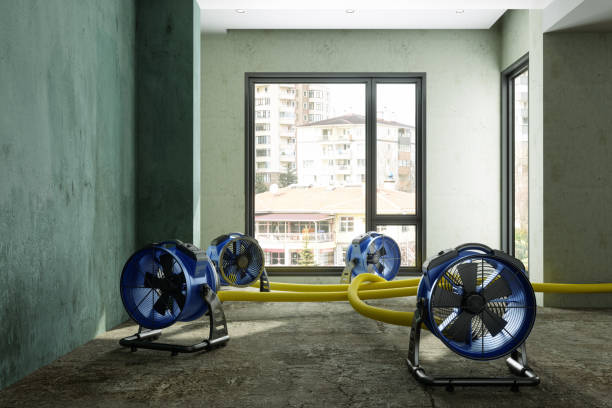 Best 24-hour water damage restoration  in Colony Rk, PA